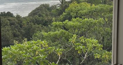 Secluded Oceanfront Cottage- in Princeville – Private large Spa & Stunning Views