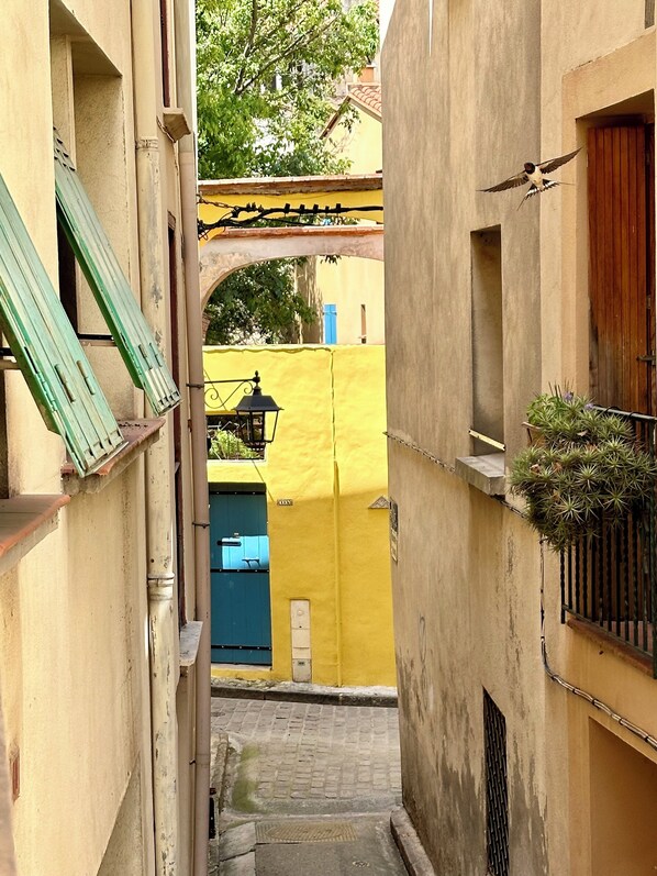 Terrain de l’hébergement 