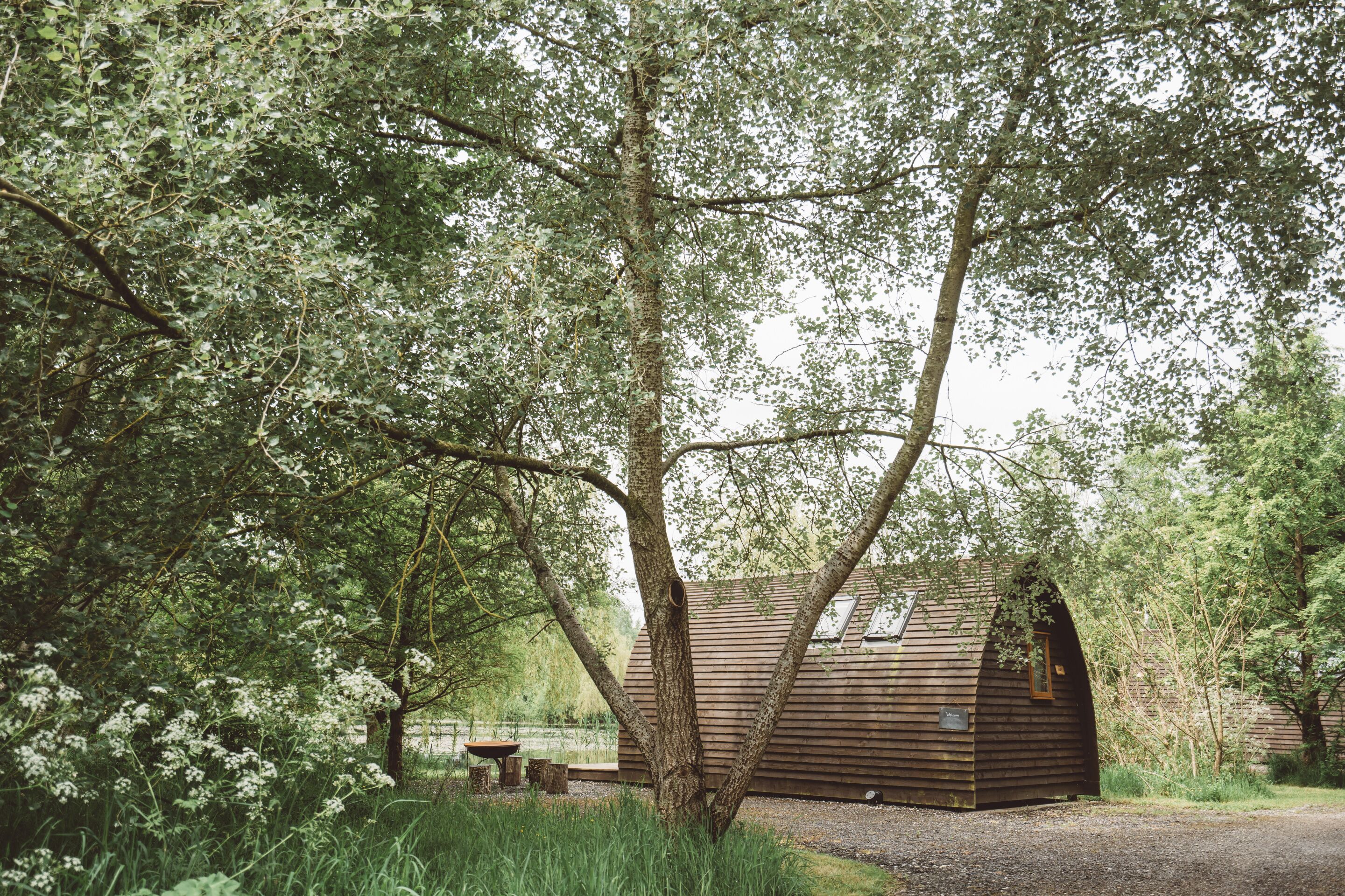 A rustic wooden cabin surrounded by dense foliage.