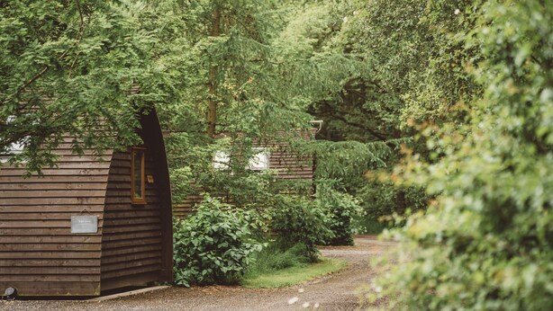 A row of wooden cabins surrounded by dense greenery. - Cosy Cabin in Idyllic Woodland Setting (Storwood)