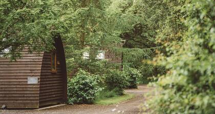 Cosy Cabin in Idyllic Woodland Setting