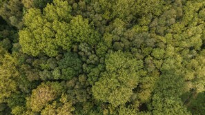 An aerial view of a dense forest with no visible buildings or structures. - Stepless Ensuite Wooden Cabin in Stunning Location (Storwood)