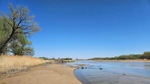 Une rive de rivière avec un sentier bien défini longeant une zone sablonneuse.