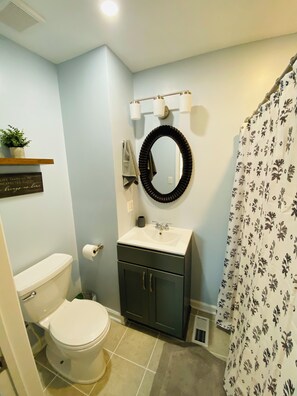Une salle de bain équipée de toilettes, d’un lavabo, d’un miroir et d’un rideau de douche.