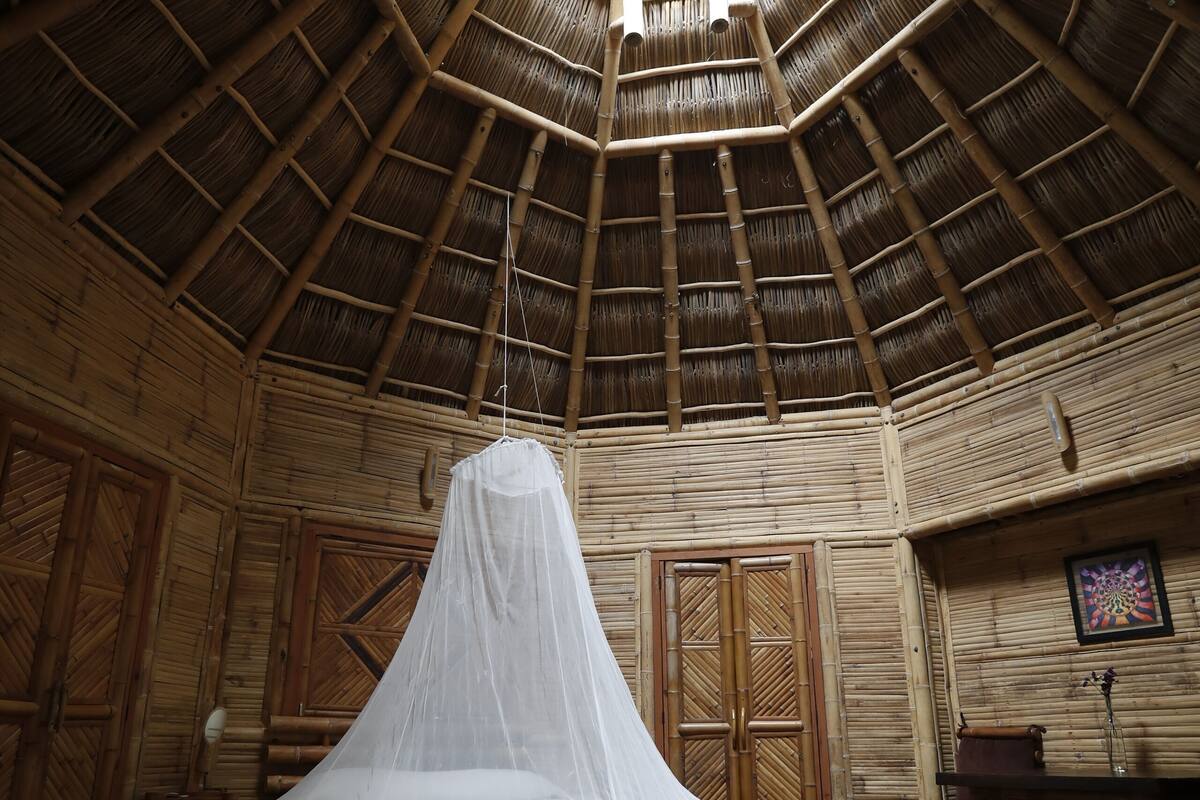 A room with a high wooden ceiling, a bed with a white canopy, and a wooden chest of drawers.