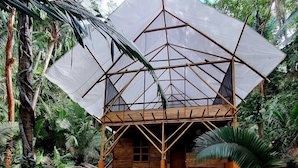 A wooden structure with a geometric roof design, surrounded by dense tropical vegetation. - Aldea Bamboo Village (San Francisco)