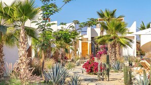 A garden pathway leading to a building with palm trees and cacti. - Chic Bungalow with Pool Near the Ocean (El Pescadero)