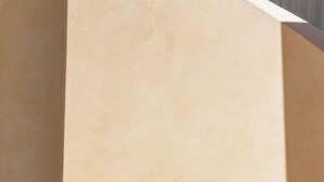 A set of concrete steps leading up to a higher level, with a plain wall on one side and a window on the other. - Chic Bungalow with Pool Near the Ocean (El Pescadero)