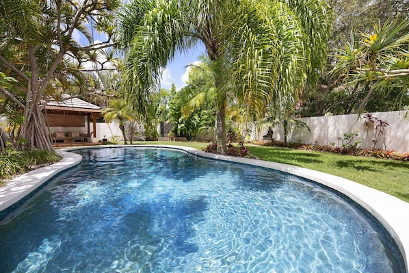A swimming pool with clear water, surrounded by lush greenery and a white wall.