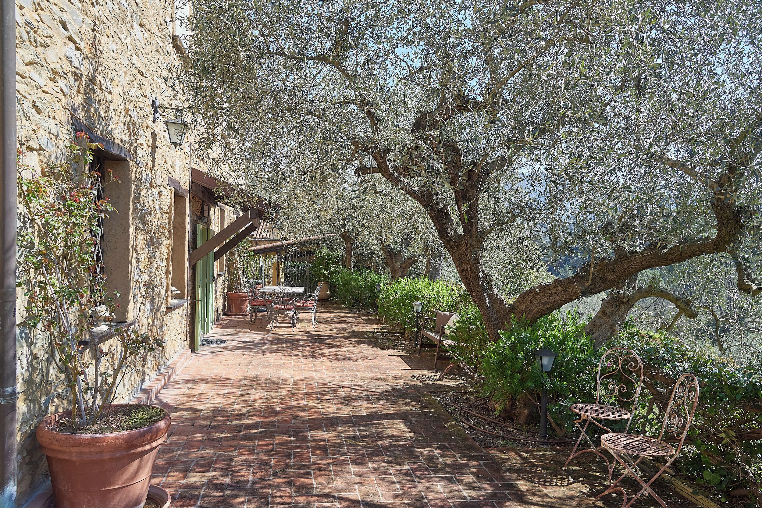 Biệt thự (5 Bedrooms) | Nội thất