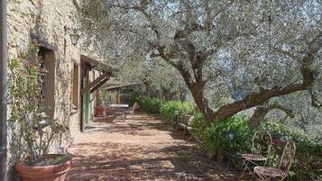 Biệt thự (5 Bedrooms) | Nội thất