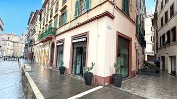 A narrow street with buildings on either side, a wet pavement, and potted plants.