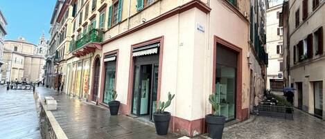 A narrow street with buildings on either side, a wet pavement, and potted plants.