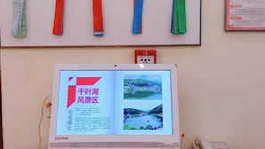 Een Lenovo monitor waarop een document met tekst en afbeeldingen van een landschap wordt weergegeven.