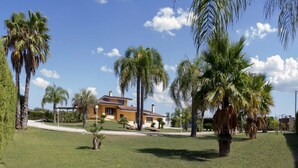 Une maison avec une pelouse bien entretenue et des palmiers.