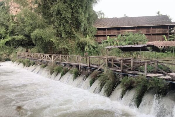 Vista desde la propiedad