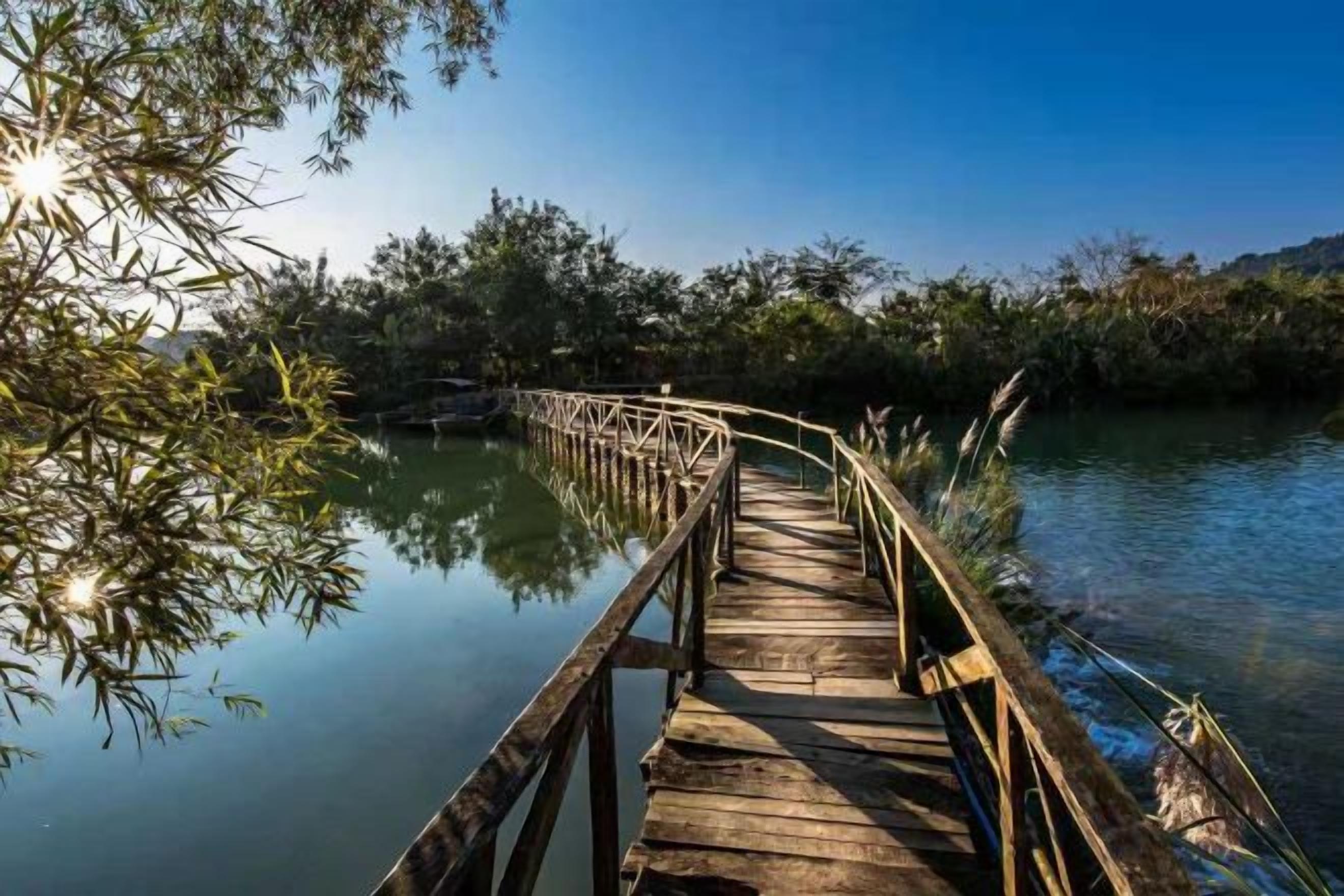 Un puente de madera sobre aguas tranquilas, con árboles a ambos lados.