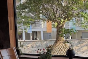 Un gran árbol con un tronco de estructura enrejada, situado cerca de una ventana junto a una pared de piedra y un edificio al fondo.