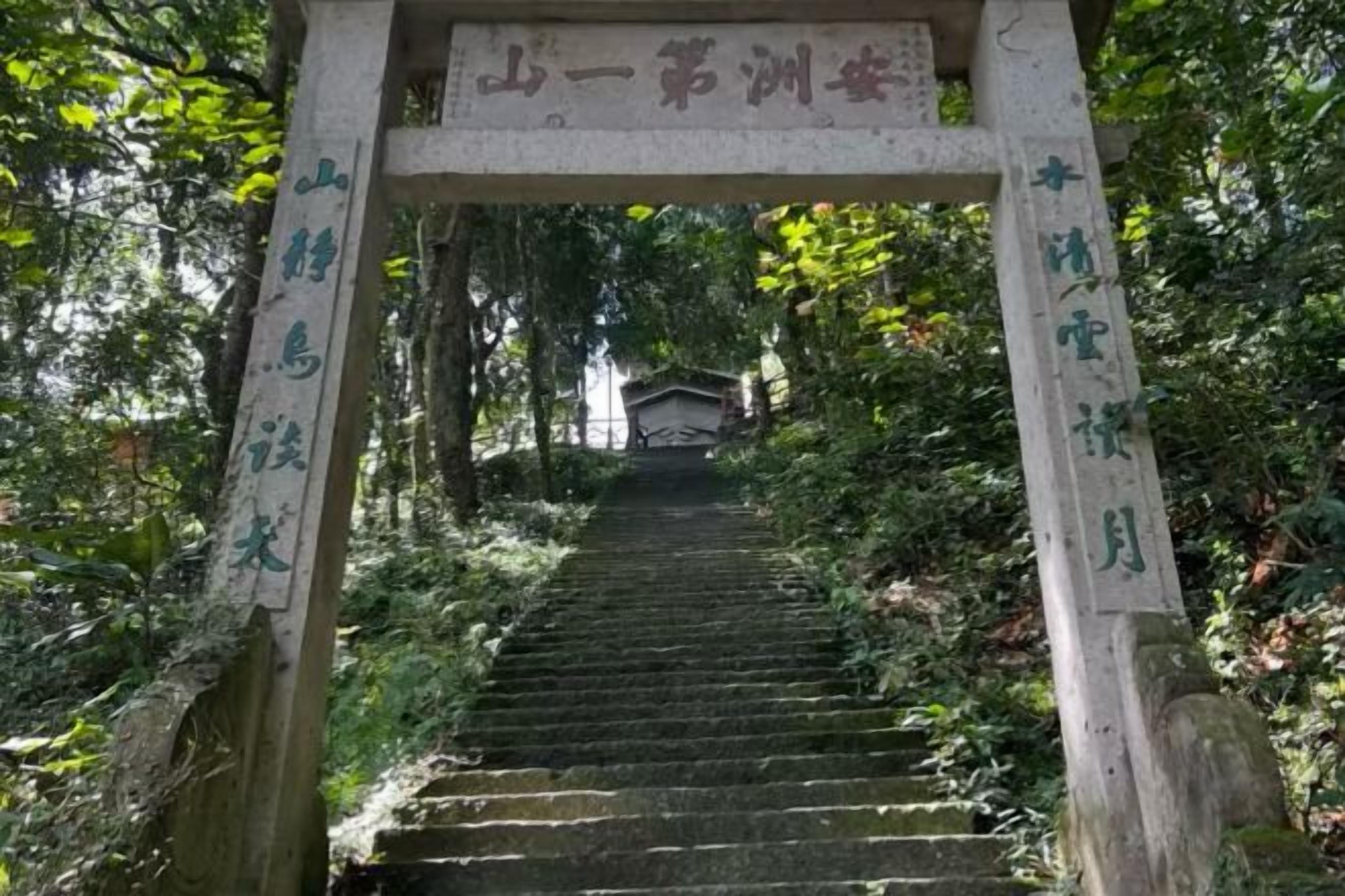 기타