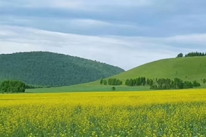 Sekalaista