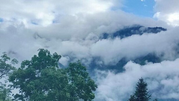 A mountain partially obscured by clouds, with a tree in the foreground. - Yunong Hot Spring Courtyard Homestay (Hailuogou Glacier Forest Park Branch) (Luding)