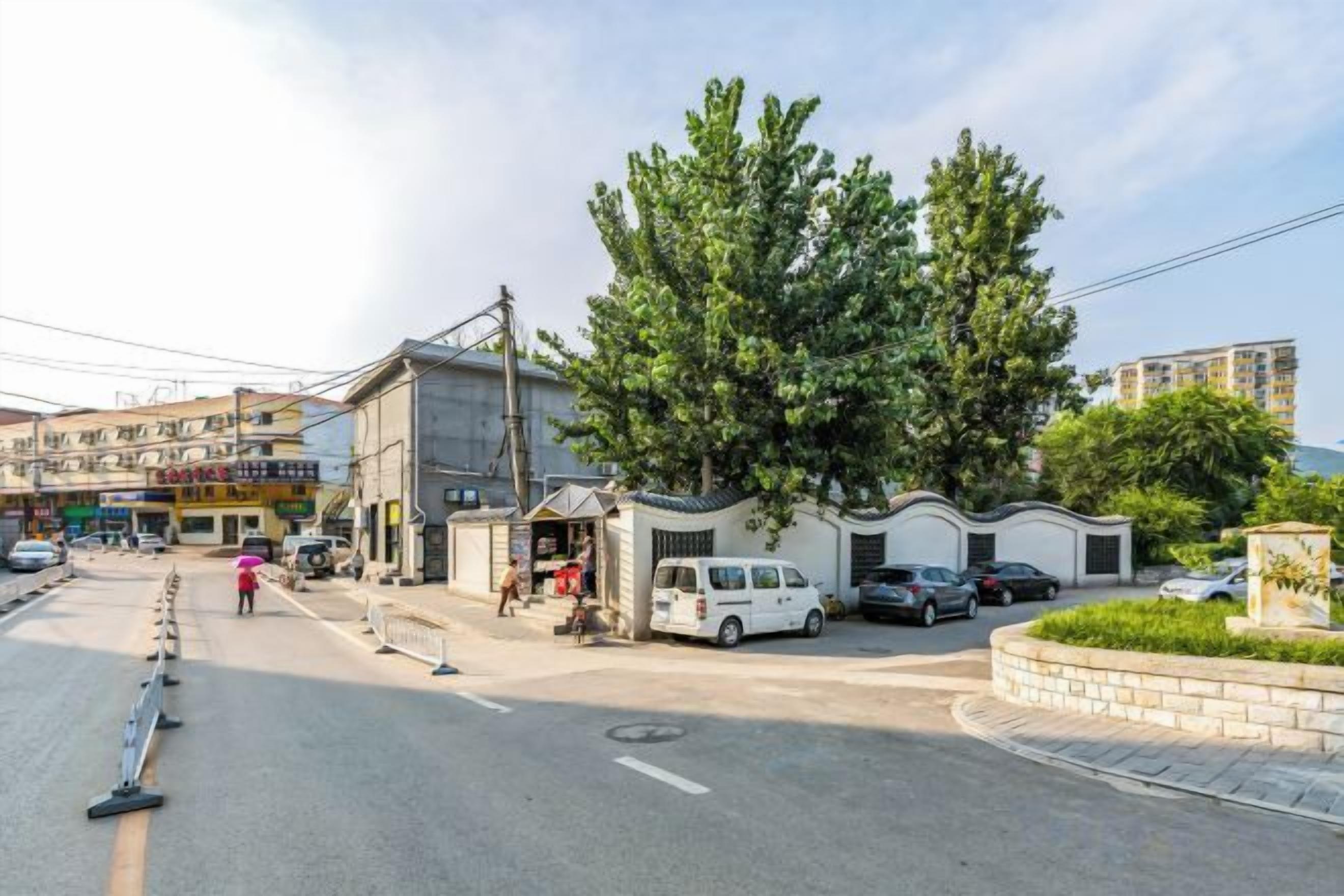 A street view with a building, parked cars, and a tree.