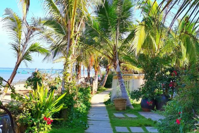 A pathway leading to a beach with palm trees and tropical plants.