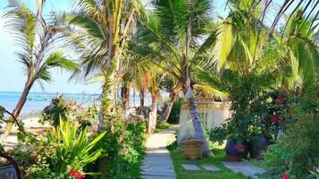 A pathway leading to a beach with palm trees and tropical plants.