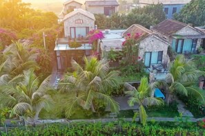 Un quartier résidentiel où les maisons sont entourées d’une végétation luxuriante et de palmiers.