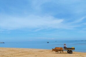 Une scène de plage avec un chariot et une personne.
