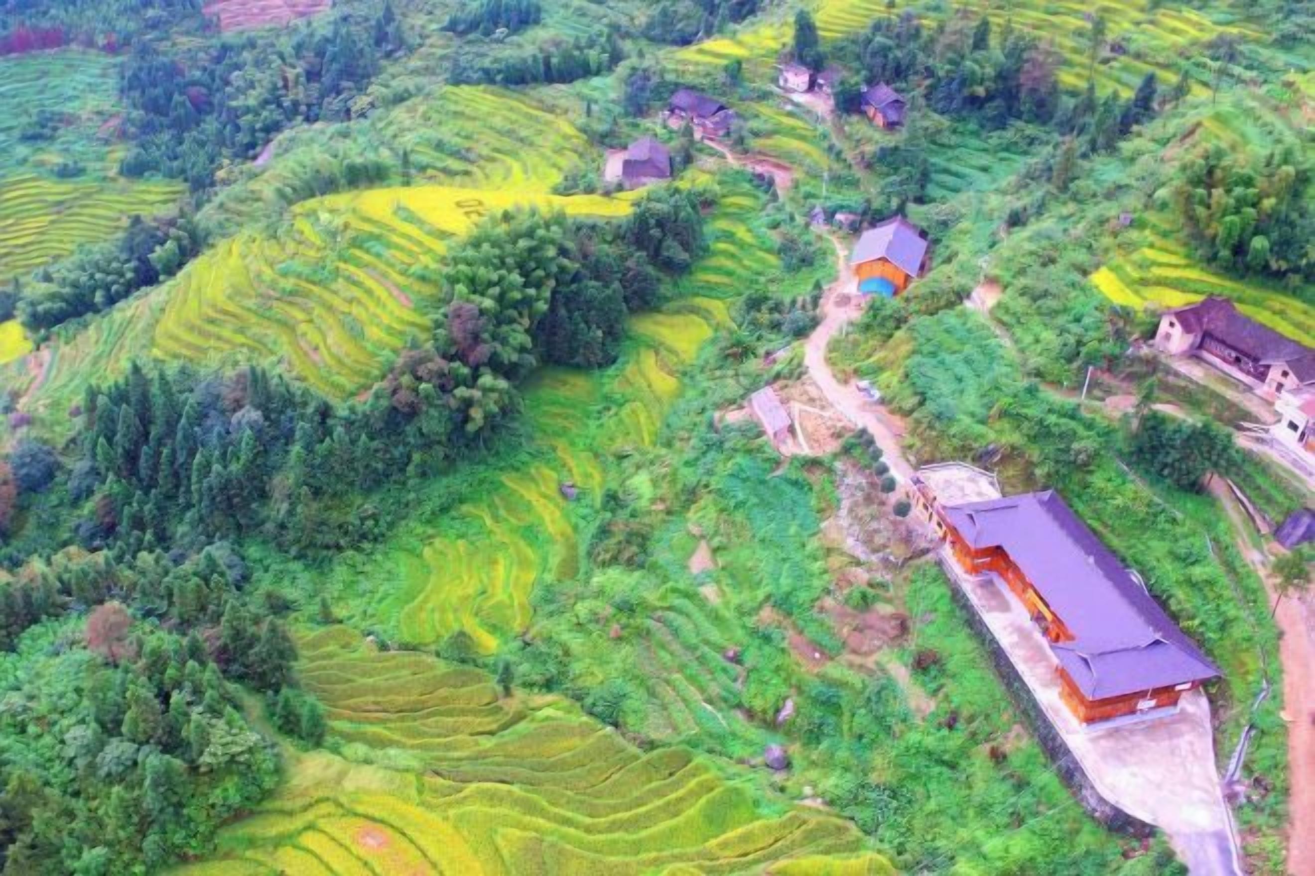 A terraced agricultural landscape with buildings.