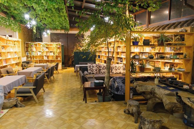 A cozy bookstore with wooden shelves, tables, and chairs, and a central seating area with a tree.