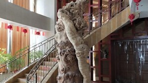 Un escalier dont la structure, d’un aspect rocheux particulier, se trouve sur le côté gauche, avec une rampe métallique et un élément décoratif rouge sur le côté droit.
