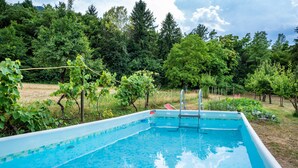 A rectangular swimming pool with a ladder, surrounded by a fence, and a backdrop of trees and grass.