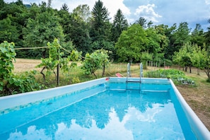 A rectangular swimming pool with a ladder, surrounded by a fence, and a backdrop of trees and grass.