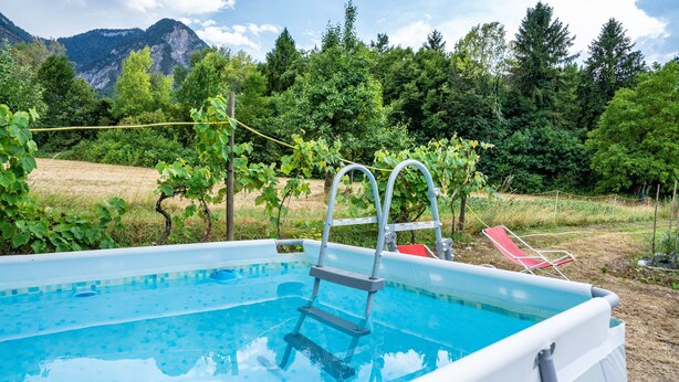A swimming pool with a ladder, surrounded by greenery and mountains.