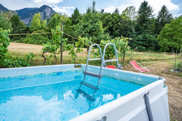 A swimming pool with a ladder, surrounded by greenery and mountains.