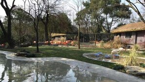 A naturalistic enclosure with flamingos, a pond, and a rustic building. - Wanting Hotel (Shanghai Xinchang ancient town store) (Shanghai)