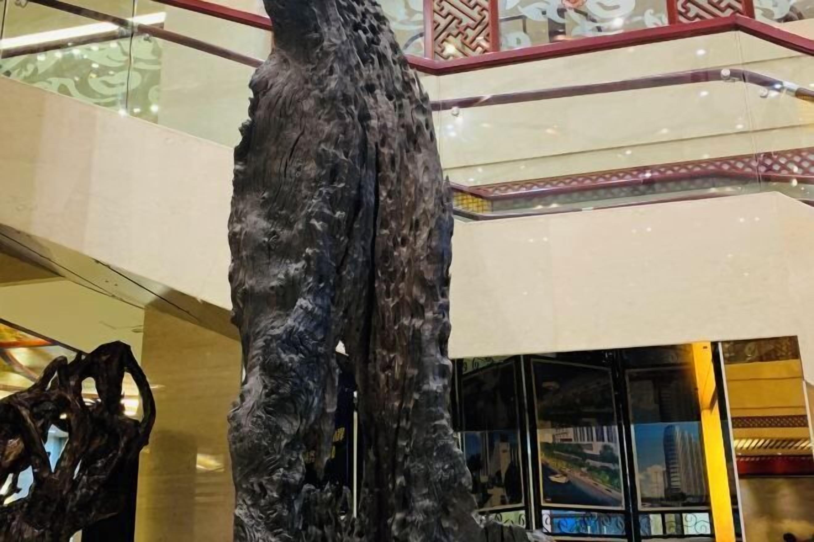 المنشأة من الداخل