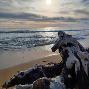 Playa en los alrededores 