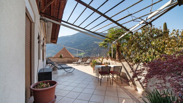 A covered patio with a table and chairs, a potted plant, and a view of mountains.
