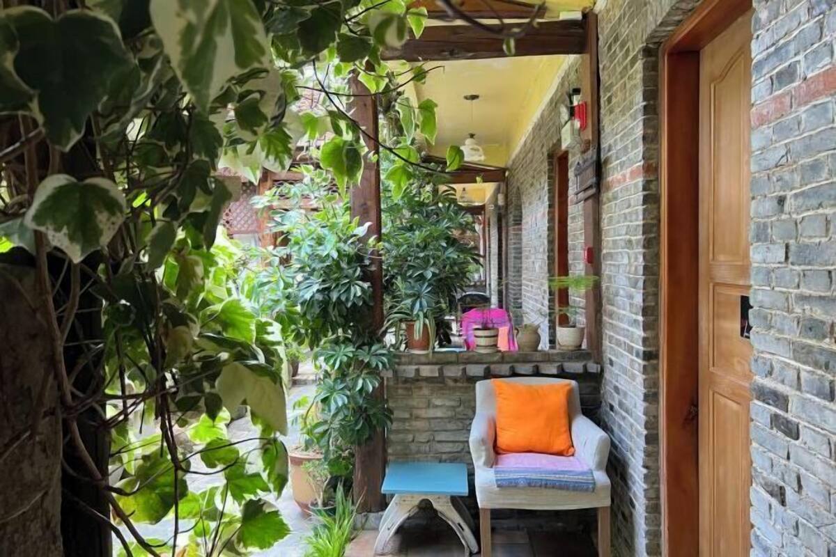 Un étroit couloir extérieur aux murs de briques, avec une porte en bois et diverses plantes en pot.