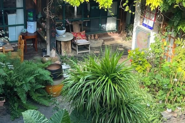 A garden area with various plants and outdoor furniture.