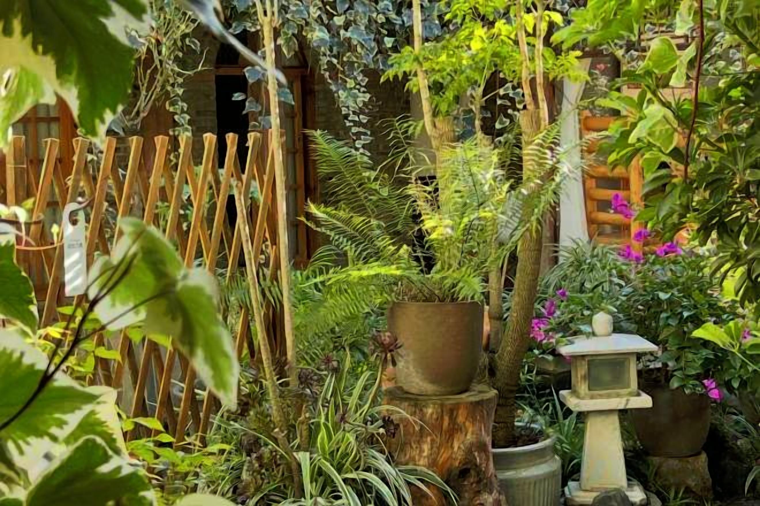 A garden with a wooden fence, various potted plants, and a bird feeder.
