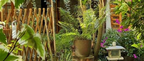 A garden with a wooden fence, various potted plants, and a bird feeder.
