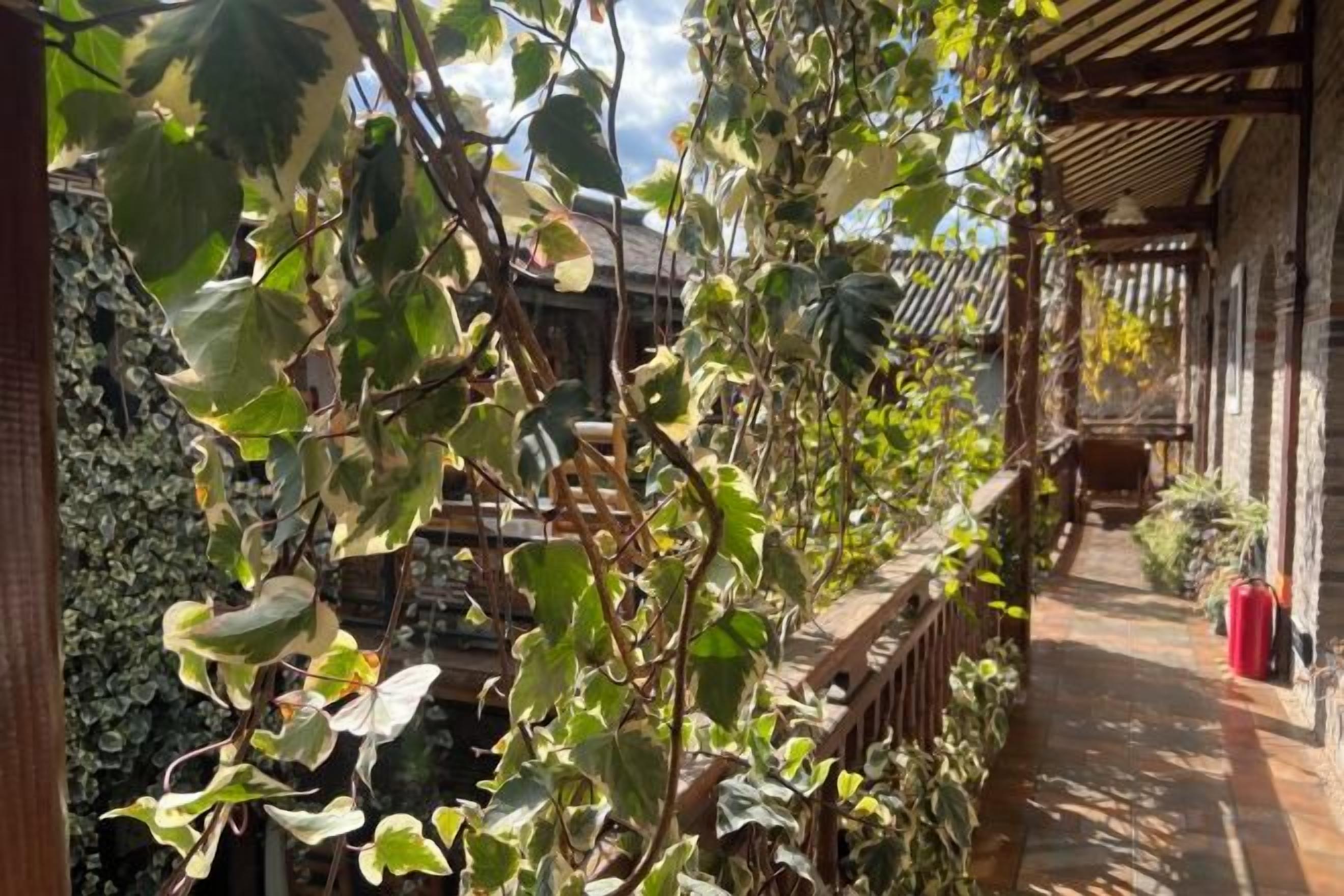 المنطقة المحيطة بالمنشأة