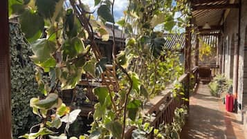 A covered outdoor area with a wooden pergola, climbing plants, and a brick pathway.
