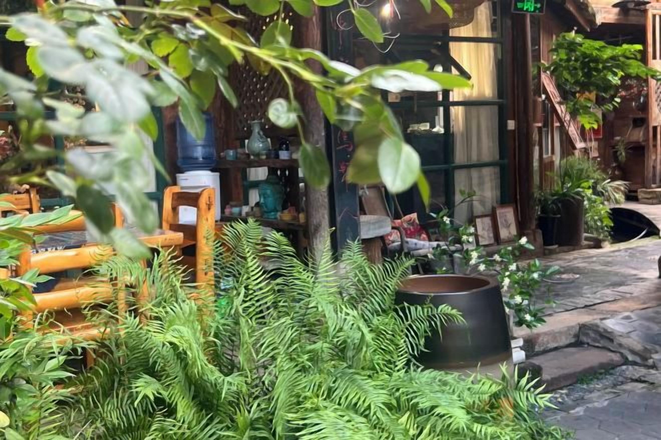 Khuôn viên nơi lưu trú