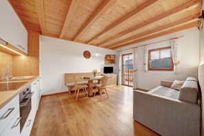 Televisión 