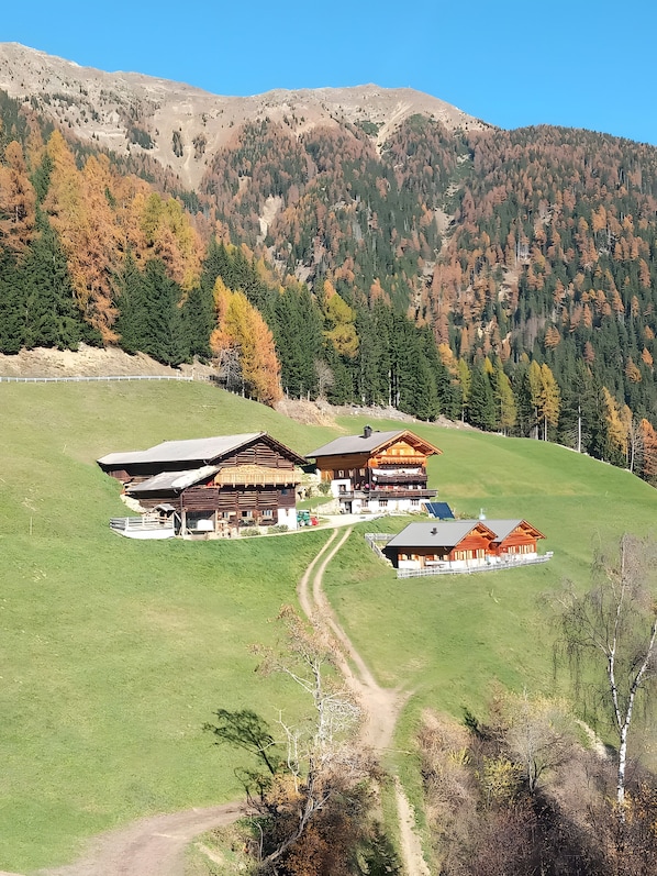 Esterni